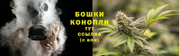 СК Белокуриха